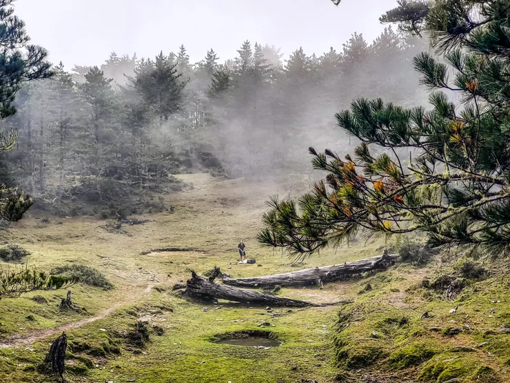 11:39 抵逹高爾夫球場。雲霧繚繞仙氣逼人的排球場營地，很適合放靜靜的放空。同時在這裡我們遇見來自香港nothing blue的老闆Brandon，是年輕有為的帥哥，重點是它們家的登山帳都好靚呀！（落一下廣東話也是合理的）