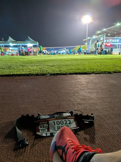 倘爾縱心志難堅，人若服老夢已殘。