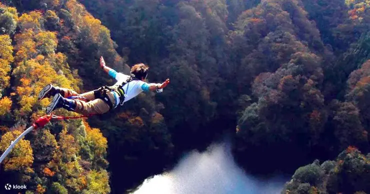 6成台灣客為「獨特體驗」出國45％願花逾一個月薪水出遊- 觸食旅