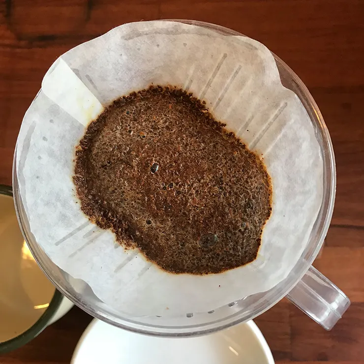 Kalita 101悶蒸。