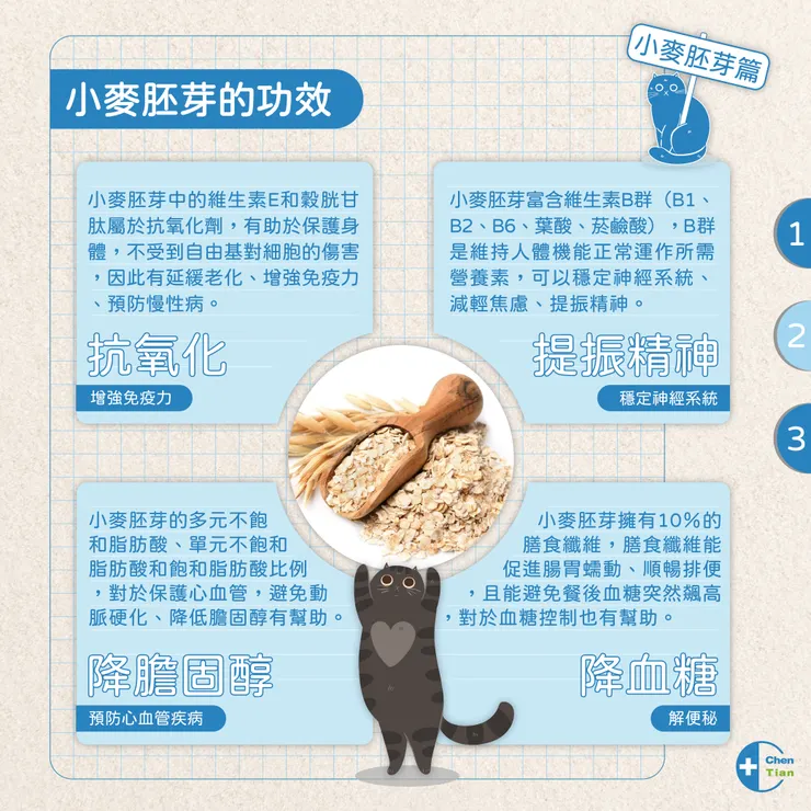 小麥胚芽的功效