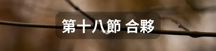 第十八節 合夥