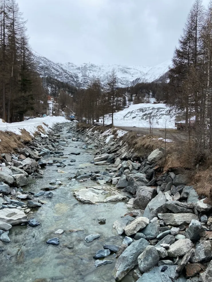 圖中右邊的道路就是通往黑面羊牧場的方向