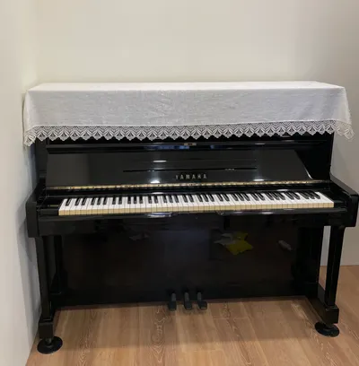 成人的第一部琴