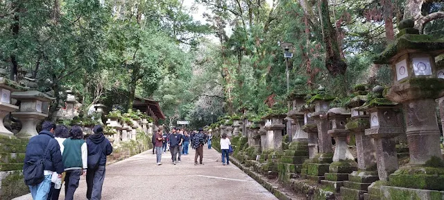 往春日大社兩旁都是石燈籠