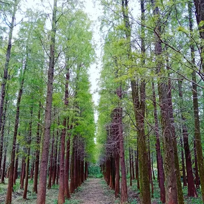 tiotsigi725的興趣生活的沙龍