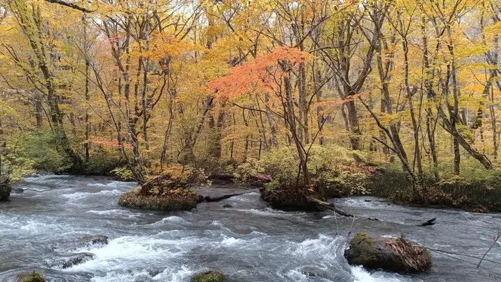 三亂之流(奥入瀬渓)