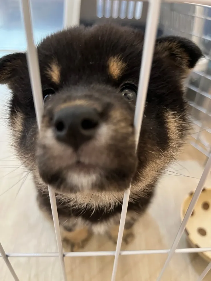 謝謝緣份讓我們相遇