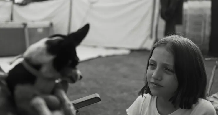 不管寵物溝通是否為真，看到片中可愛的狗狗貓貓還是很療癒