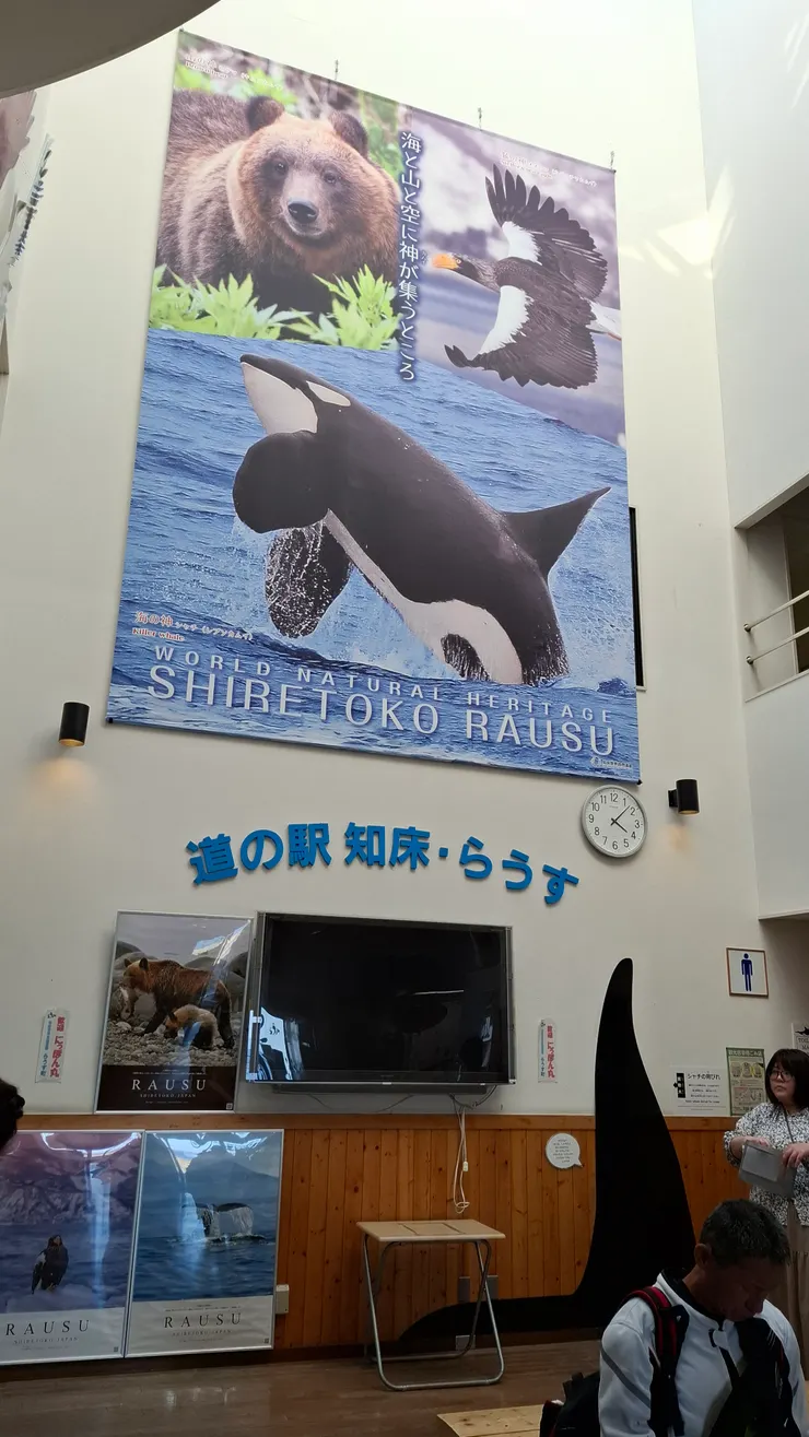 知床地區，海、陸、空的生物代表。