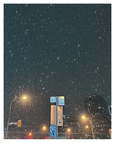 多倫多暴雪後 思考