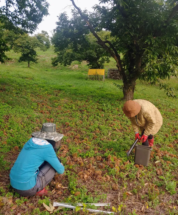 工作中的 F 與我