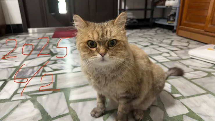 媽媽拍攝於 2025/6/2