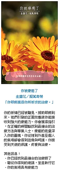 生活中的指引or啟示 ( 抽牌分享 ~ 實際示範 )