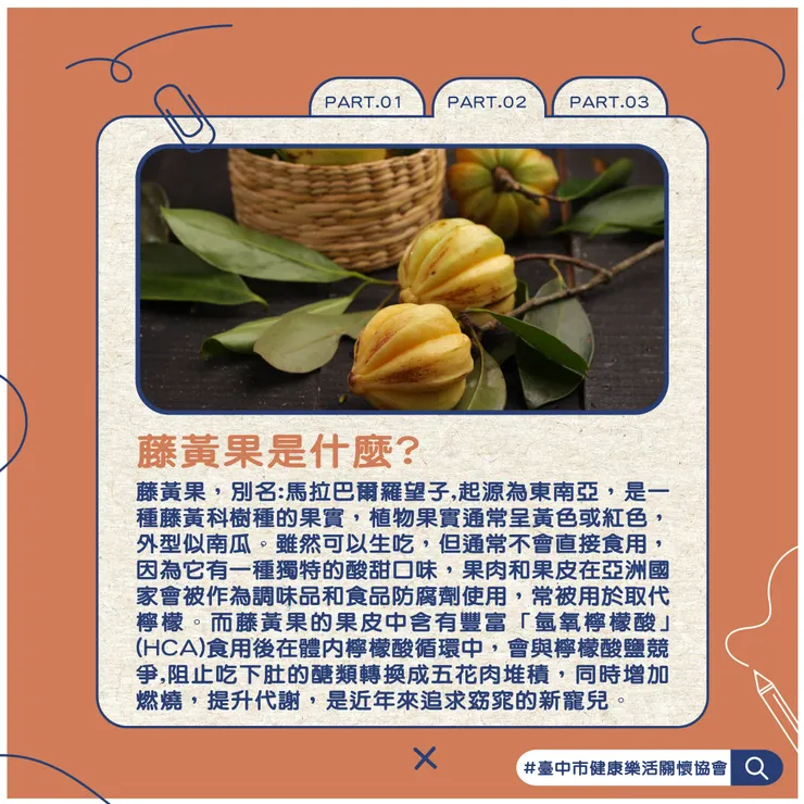 PRAT.2 藤黃果是什麼?