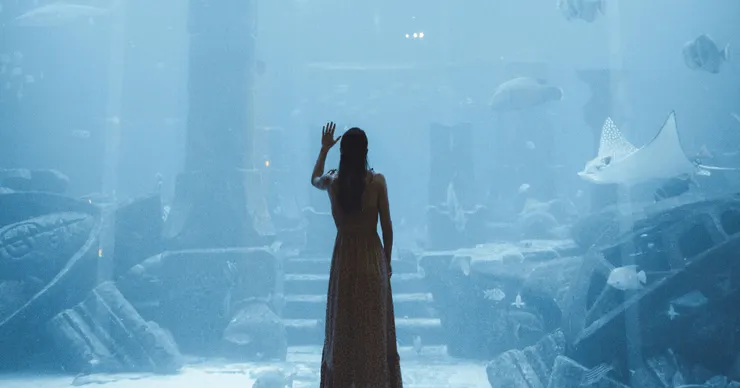 Photo by Paolo Resteghini on Unsplash