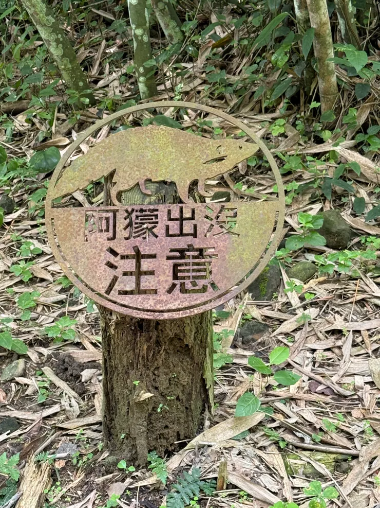 野生動物豐富