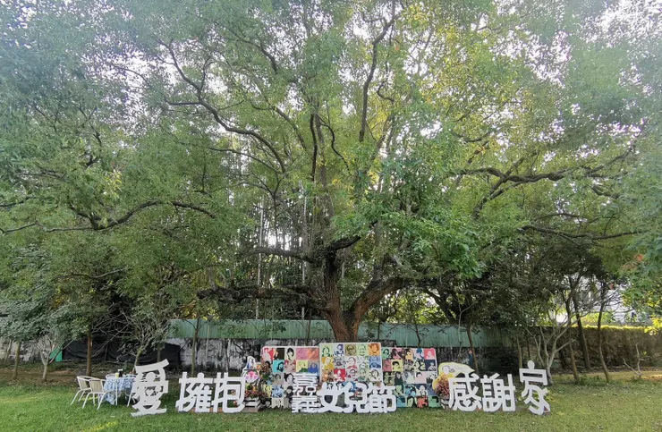 嘉義女兒節也願意為了這個目標而協助推動「357擁抱心運動」，透過源頭將這股愛的力量擴散至全台。(圖／小樹傳愛協會提供)