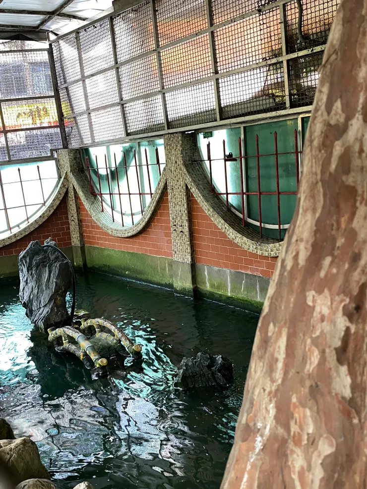 這裡的泉水常年不竭，象徵土地福佑與生生不息