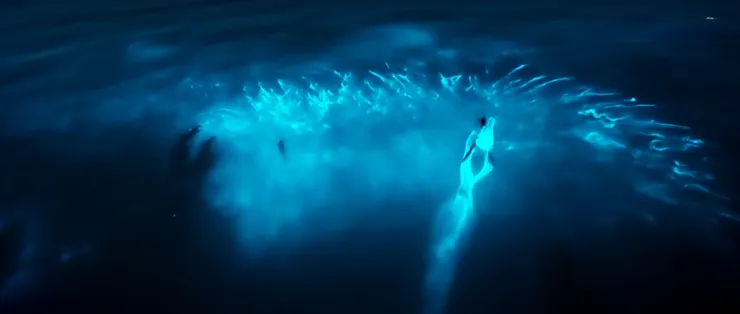 加州海獅捕獵剛吃下夜光藻而發光的沙丁魚。《我們的海洋》影片截圖