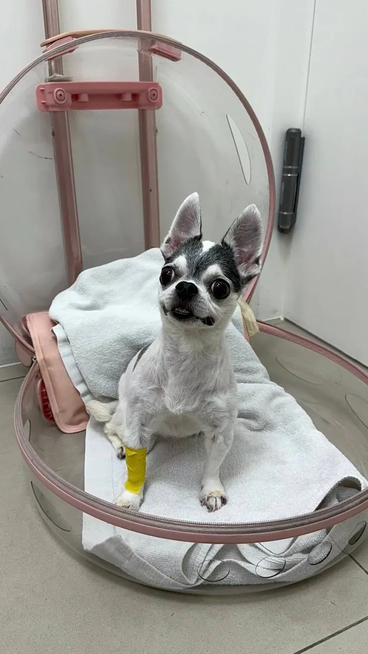 完全不能想像這是被搶救回來的Kimy，瀕死經驗後第一時間精神超好