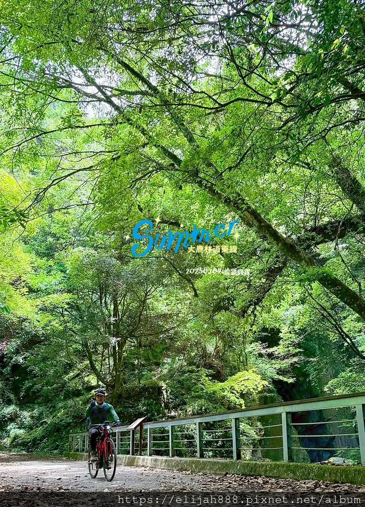 【大霸群峰4百岳。兩天一夜】觀霧大鹿林道東線騎越野單車/馬達