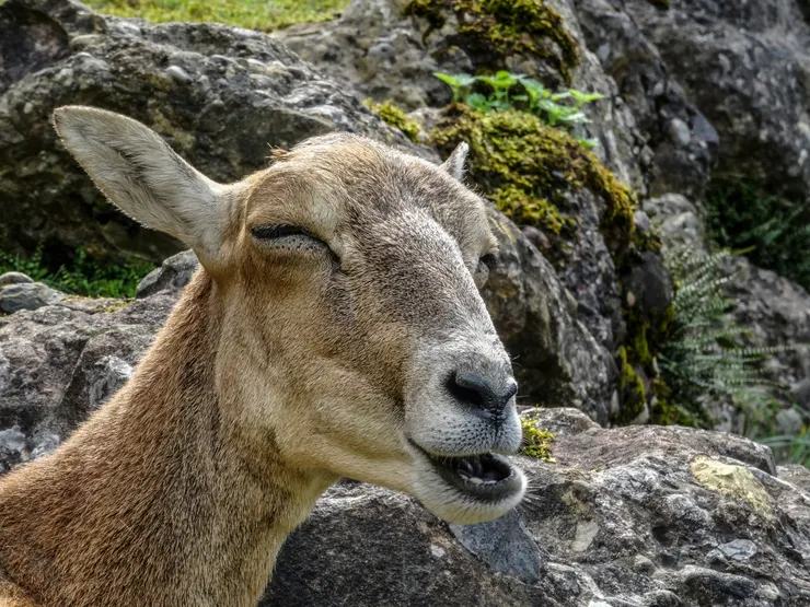 (Photo by Matthias Speicher on Unsplash)