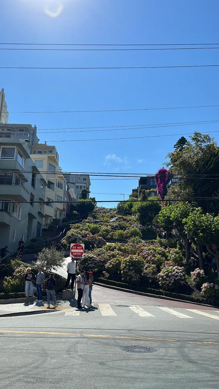 九曲花街有好多盛開又美麗的繡球花