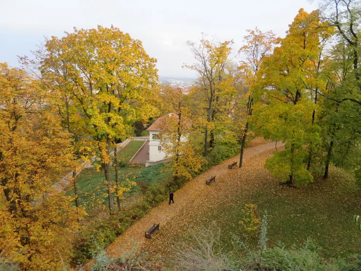秋天一片金黃落葉，城堡山也是相當美