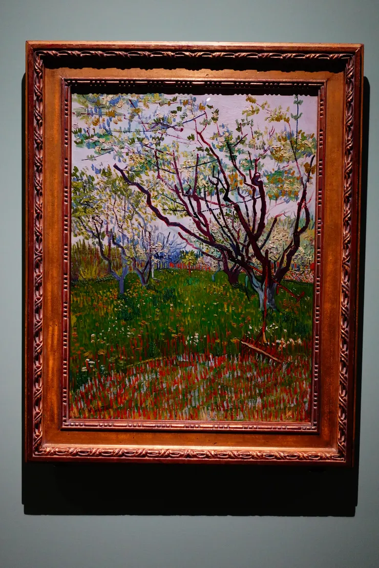 文生．梵谷，〔花朵盛開的果園〕，1888年作。