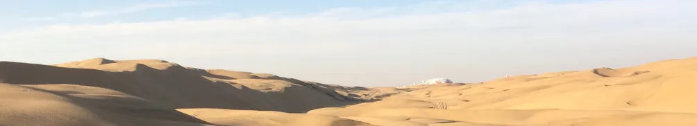 山寨守門兵的沙龍