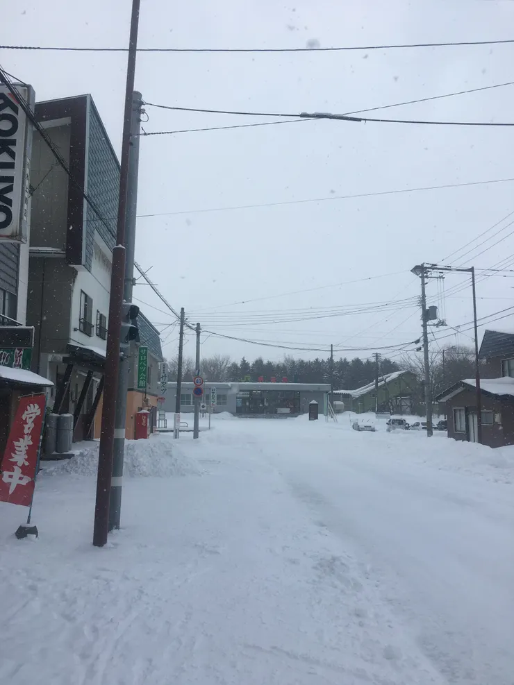 剛好走了一班巴士，又沒錢坐的士，怎辦？行去吧！（不過不建議，大雪行了4-50分鐘，有些路段還是沒有行人路，還好沒太多車。）