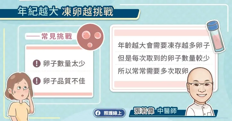 年紀越大凍卵越挑戰