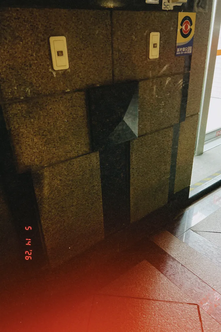 路上巧遇的一隻大怪鳥
