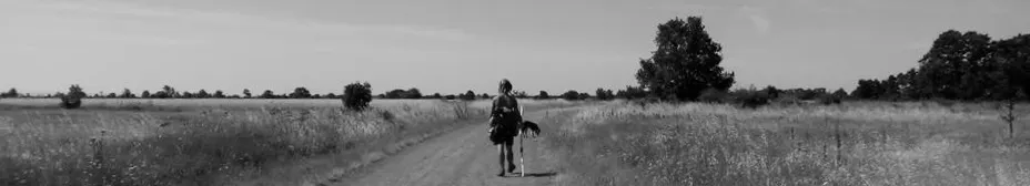 小番薯星球 Hanji's Planet