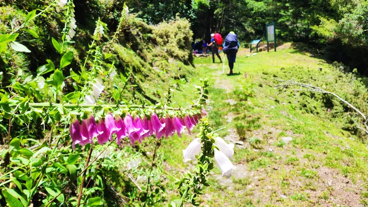 12:05來到觀高坪吃午餐