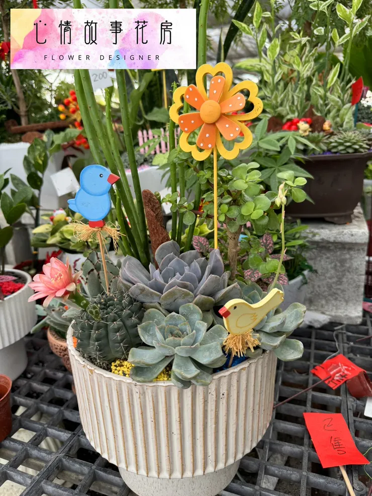 台南在地三十年｜心情故事花房提供八大多樣化花卉商品，從高雅蘭花到永生花，全方位滿足您的需求，品質保證、送達迅速