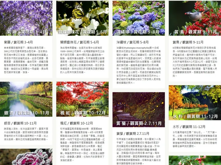 杉林溪觀賞期&賞花期|引自官網