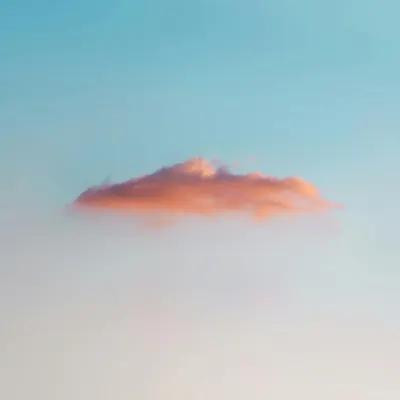 小白隨筆