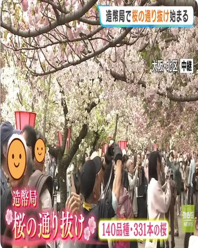 【時事日語單字53—桜の通り抜け】🔍看新聞補充日本豆知識 