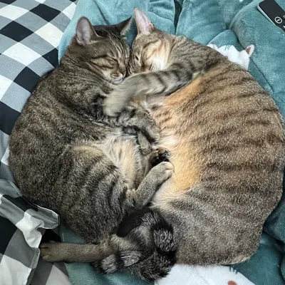 Amanda的身心靈日記