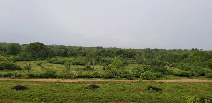 乘坐吉普車到處走