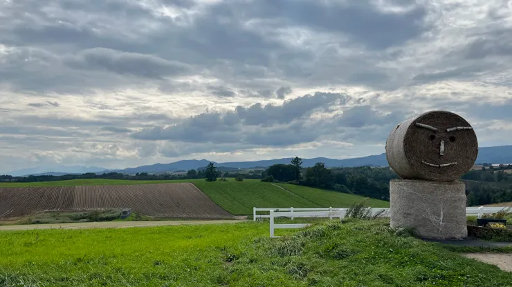 微笑的稻草捲人，可愛程度真的破表。