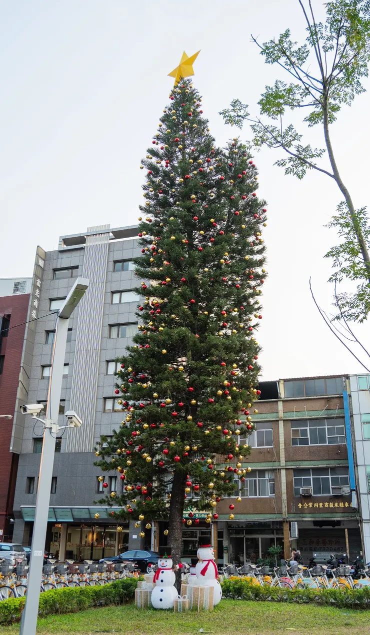 原本就存在公園裡的高大樹木，掛上彩球成為亮眼聖誕樹