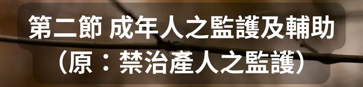 第二節 成年人之監護及輔助(原:禁治產人之監護)