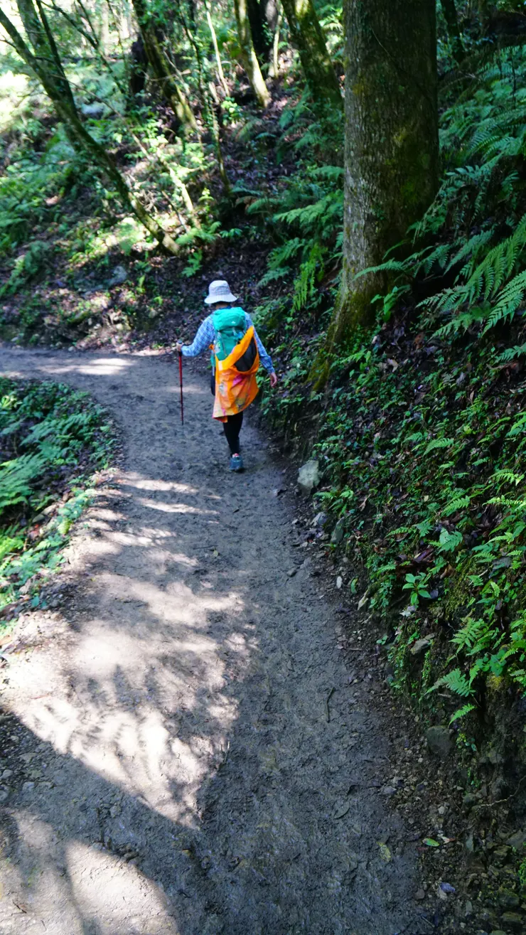雨後的步道~泥濘啊