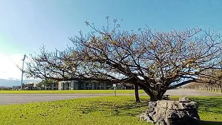 [宜蘭旅遊]宜蘭運動公園，運動設施機能完善、大面積、風景特佳