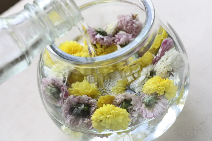 菊花泡酒 是最簡易的養生酒製造方法