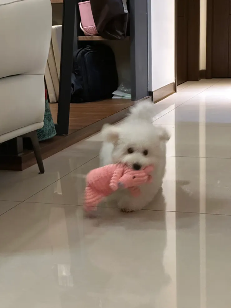 有了第一個娃娃的那天