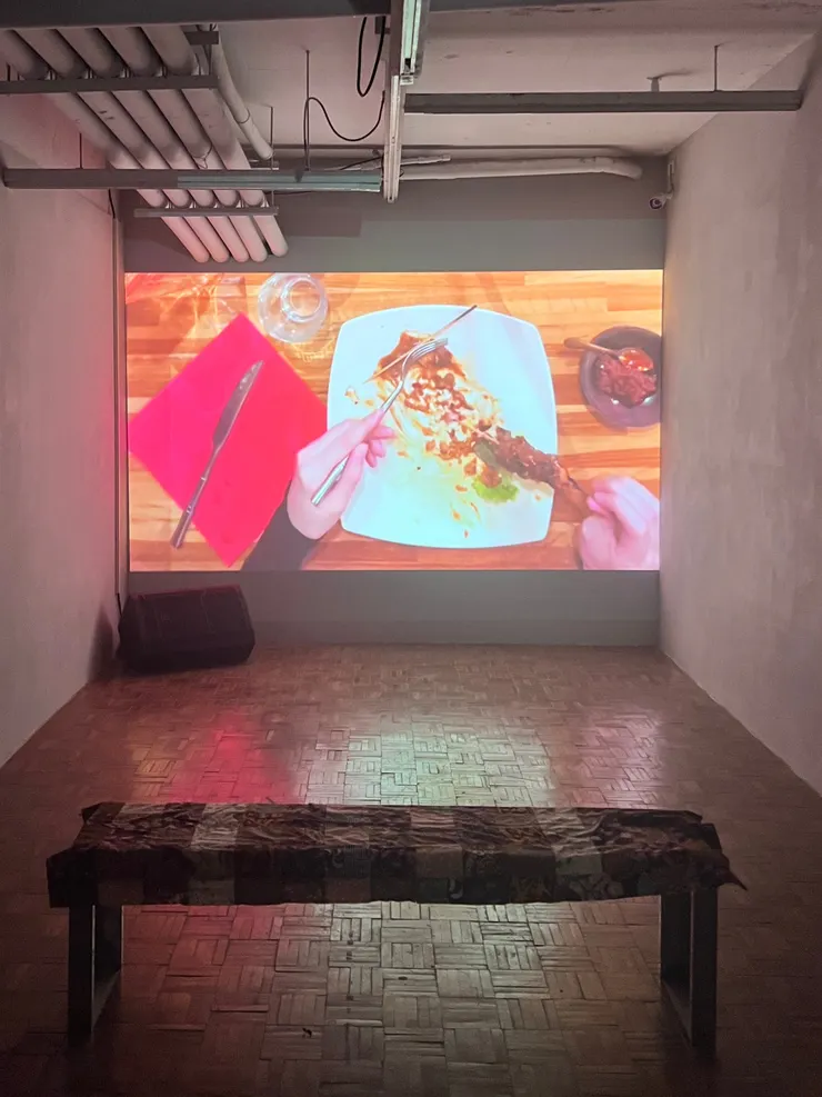 張芯，〈親愛的艾爾凡之 - Dear Irfan I 〉，2024，錄像。本文作者拍攝。